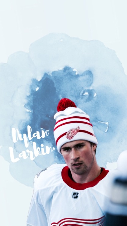 Dylan Larkin /requested by @traphousehomo/