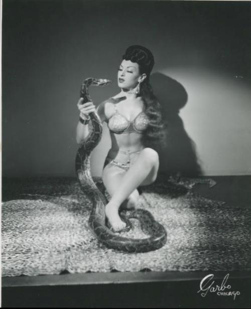 XXX vixensandmonsters:  Burlesque dancer Shiva photo