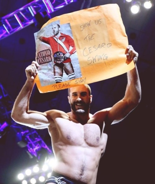 thechuzzle:  Happy 33rd Birthday Antonio Cesaro! ilysm. ❤🎁