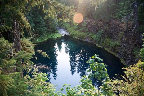 courtneyhellenphoto:  the best shot I’ve taken of blue pool to this day. it’s definitely cold, definitely worth getting in, and definitely one of the most beautiful places I’ve ever seen.