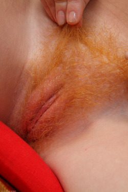 rickydew: mygingerpubes: Tasty.  Beautiful