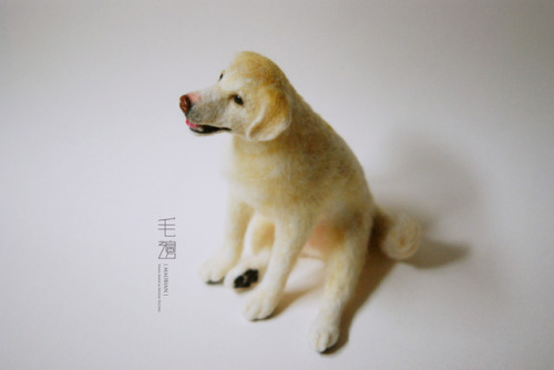  ▋ Labrador Retriever ( custom-made order )Sculpture approximately 13 x 14 x 18 cm 