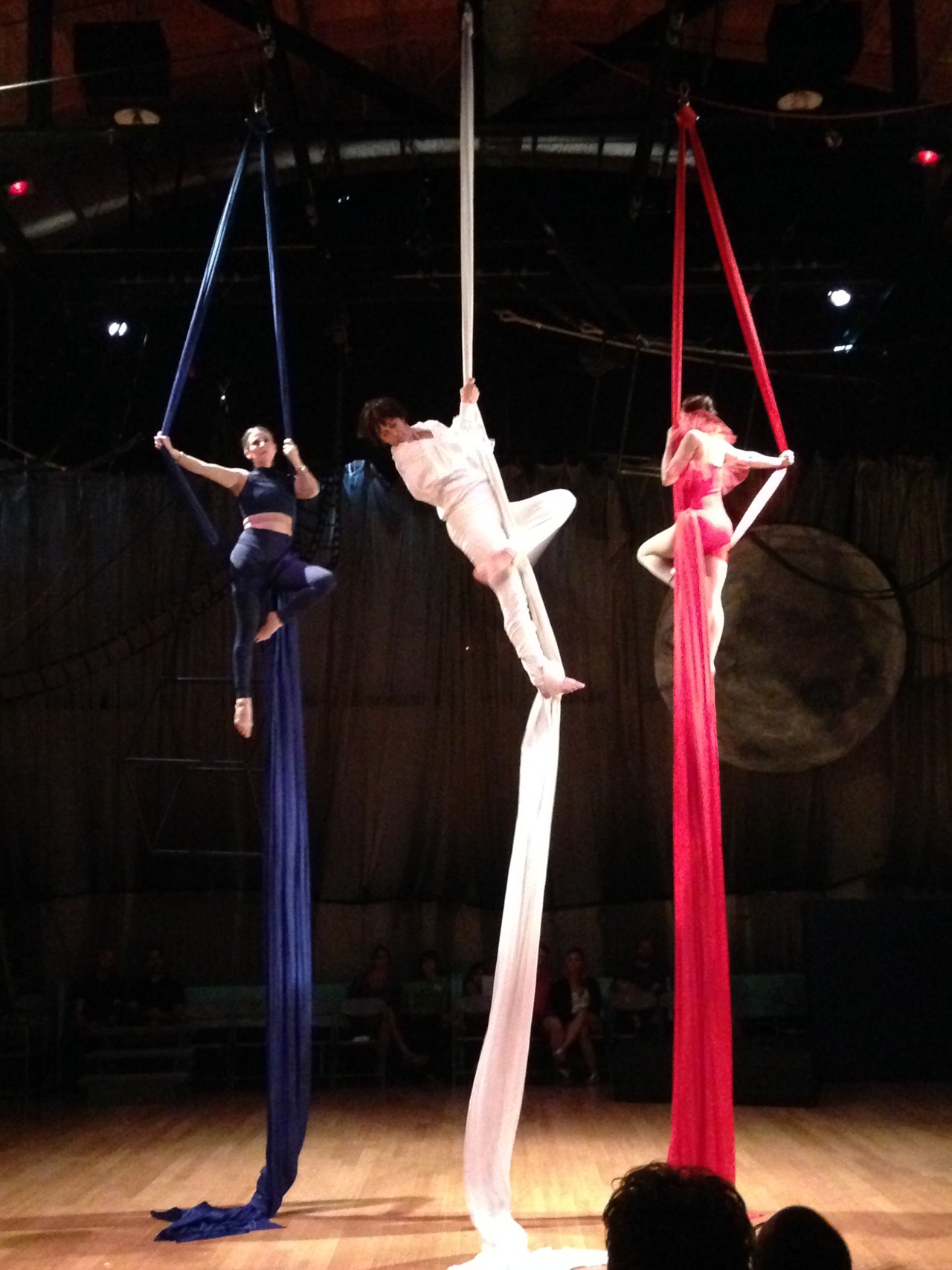 The Aging Aerialists
That’s me, Annette and Allyson in the last Canopy show in April. We’re 45 (46 next month), 50 and 47 respectively.
It was a kickass piece, based on the French trilogy of films, Trois Coloeurs (theme of show was movies) and...