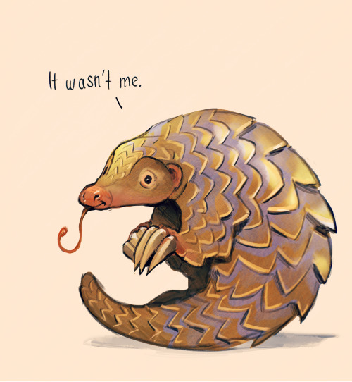 So the Pangolin may OR MAY NOT be to blame for the coronavirus pandemic - either way this little guy