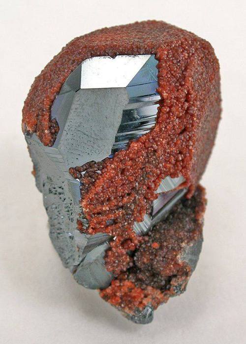 geologyin-blog: Aesthetic combination of the garnet coating on hematite! from Wessels Mine, Northern