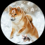 mouseshiba