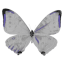 blasphemiie