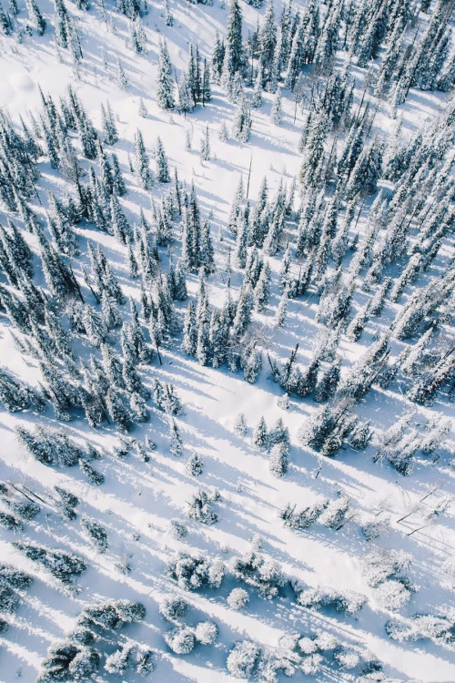 banshy: Over the Rockies // Alex Strohl