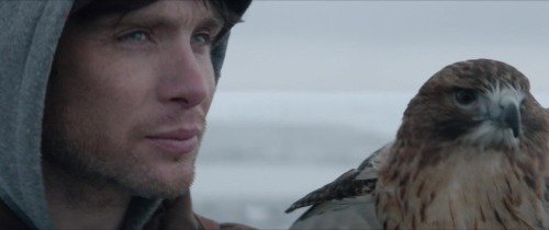 Site Update: Aloft - Screen Captures [x] - Gallery LinkI have uploaded screen captures of Cillian’s 