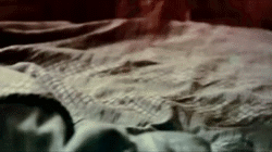 katesong20:  #swanqueen 