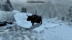 rpgfanatics:  Saw this bull near Labyrinthian. Anyone has some info on it?http://rpgfanatics.tumblr.com  They spawn randomly in the world. Usually near Whiterun But, I&rsquo;ve seen some near Dawnstar. They&rsquo;re suppose to be a peace offering that