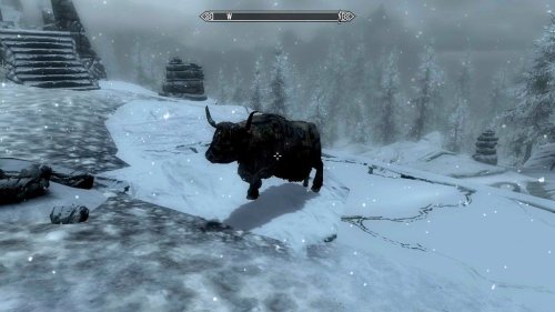 rpgfanatics:  Saw this bull near Labyrinthian. Anyone has some info on it?http://rpgfanatics.tumblr.com  They spawn randomly in the world. Usually near Whiterun But, I’ve seen some near Dawnstar. They’re suppose to be a peace offering that
