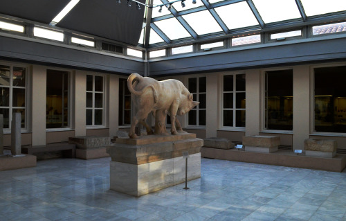 greek-museums:I had never posted the famous Kerameikos’ bull, because I was not pleased with the pho