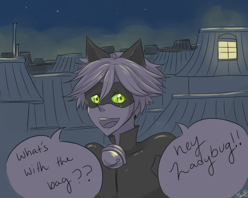 mari-monsta:   Awhile ago I saw @portentous-offerings make a post about how Marinette’s parents would react if they found out she was ladybug in response to an anon question, and she said something about her parents sending food with her on patrols