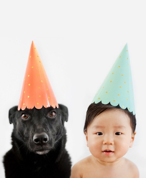 ninjacuffedyochick:  felicianicoley:  mymodernmet:  Lifestyle photographer Grace Chon recently turned the camera on her 10-month-old baby Jasper and their 7-year-old rescue dog Zoey, putting them side-by-side in the some of the most adorable portraits