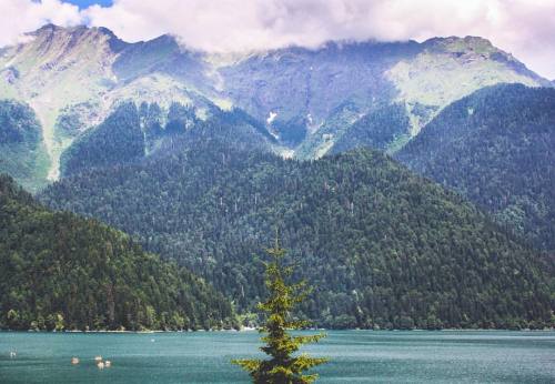 zoimounth:  Пересматриваю старые фотки и вздыхаю #архив #view #travel #mountains #lake #beauty #trav