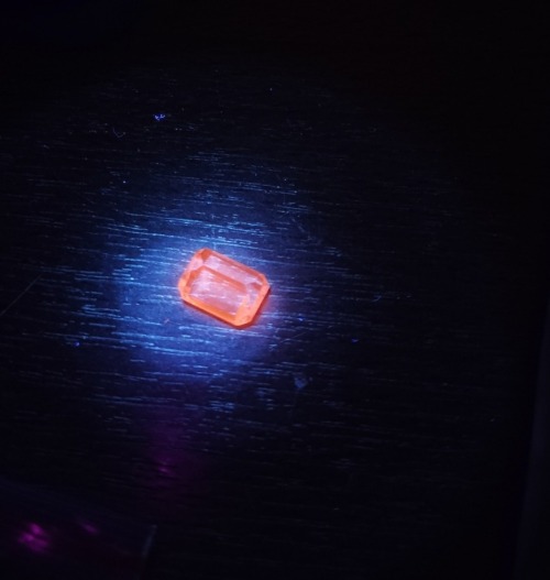 I LOVE FLUORESCENCE !!!!!!!!