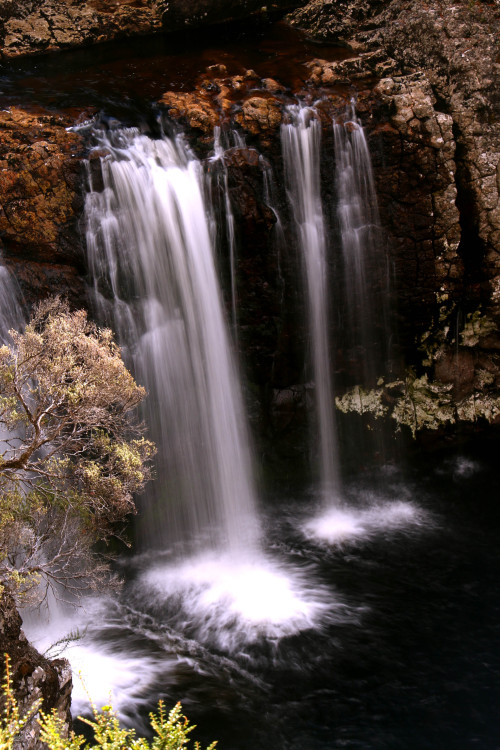 Pencil Pine Falls