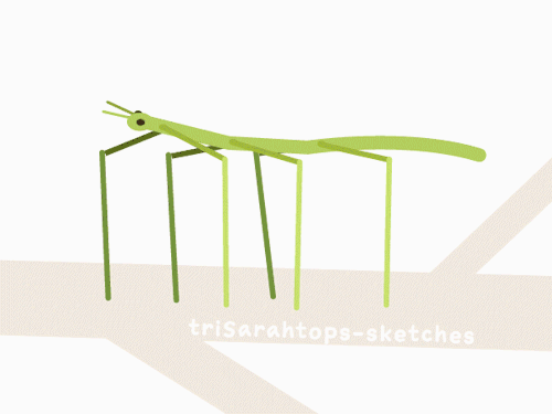 trisarahtops-sketches:



Camouflage crew!

Get stick bugged, leaf butterflied, orchid mantised, and leaf bugged lol 