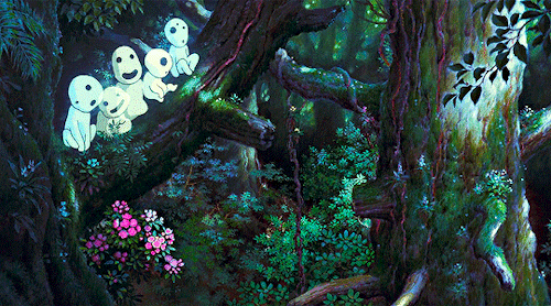 STUDIO GHIBLI + Flowers