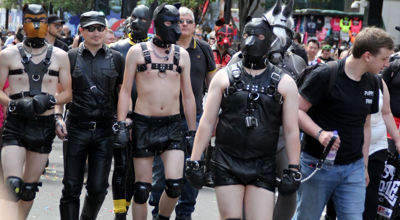 puppiesonladders:  Pups at London Pride 2015. photos by Archimedes Alpha (x2), Charles