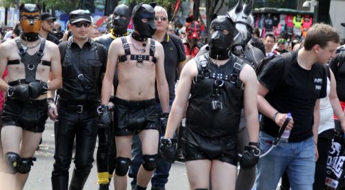Porn puppiesonladders:  Pups at London Pride 2015. photos