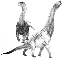 a-humble-goblin:  Two sauropods for today,