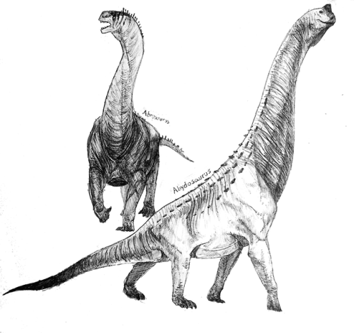 a-humble-goblin:  Two sauropods for today, Abrosaurus and Abydosaurus! I’m not too familiar with sauropod anatomy so there’s bound to be mistakes. But hey, it was fun!