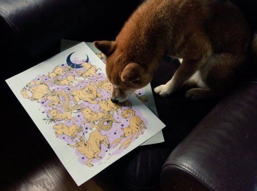 Shiba Zodiac! New screenprint collab between me and britt c.h. will be debuting at VanCAF this weeke