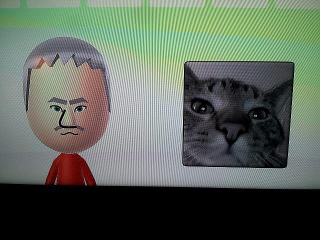 anus:  &ldquo;I let my Wii U make my cat a Mii.&rdquo; 
