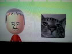 anus:  “I let my Wii U make my cat