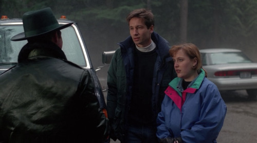 90sdanascully:90s mom and dad on a trip to niagara falls looks