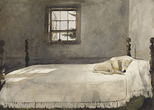 awritersrejections:amatesura:WOLF TRAP + Andrew Wyeth@wellntruly have you reblogged this set yet? 