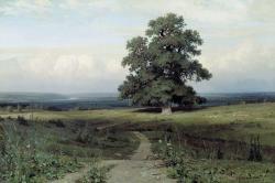Ivan Shishkin (Yelabuga 1832 - Saint Petersburg 1898); Among The Open Valley, 1883;