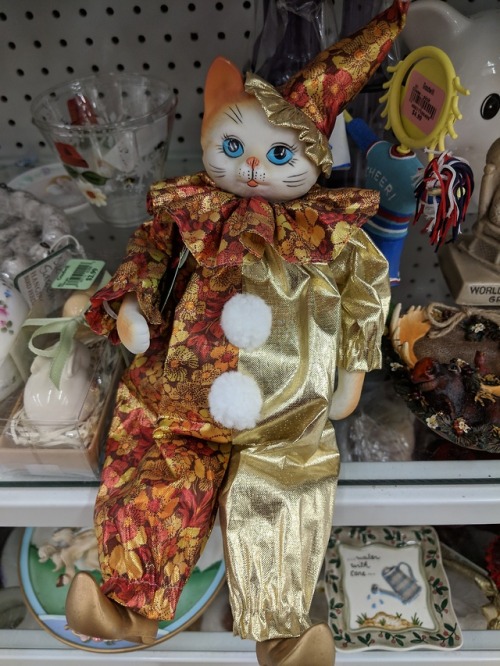 shiftythrifting: Cute/creepy clown? Cat clown??? And an absolute icon. Goodwill, WI OMG! I have this