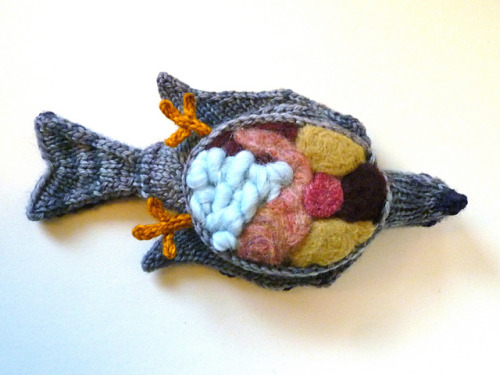 knithacker:Knitted Pigeon Dissection by Crafty Hedgehog wp.me/pjlln-1Wu 