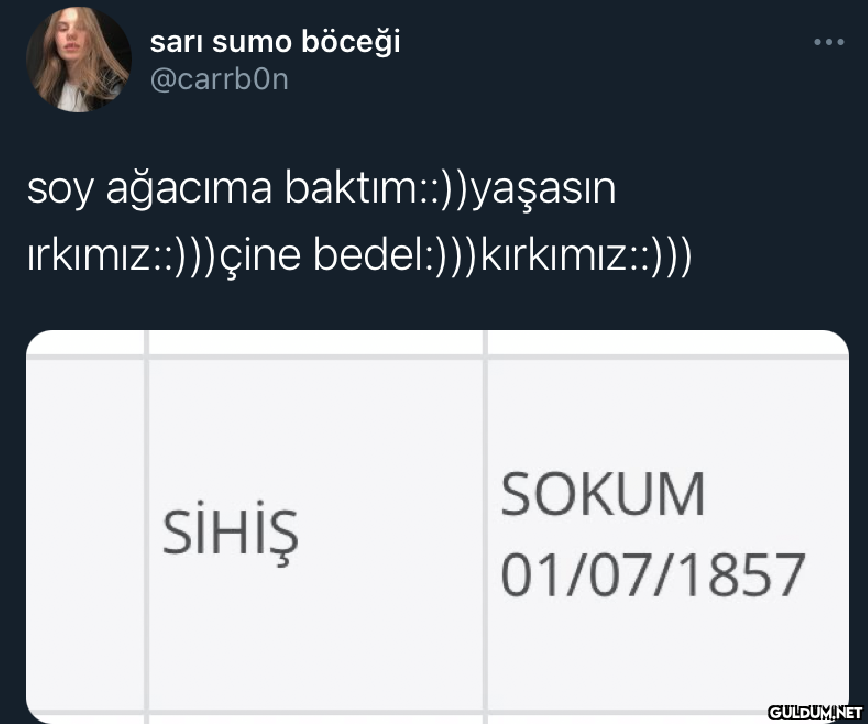 sarı sumo böceği @carrbon...