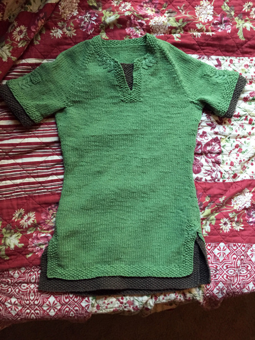 I made a thing~http://www.ravelry.com/projects/greymattersart/link-shirt-the-legend-of-zelda-twiligh