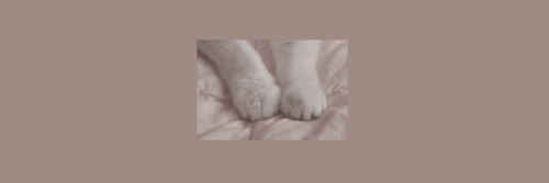(random Color Theme Headers) Like Or Reblog If You Save. 