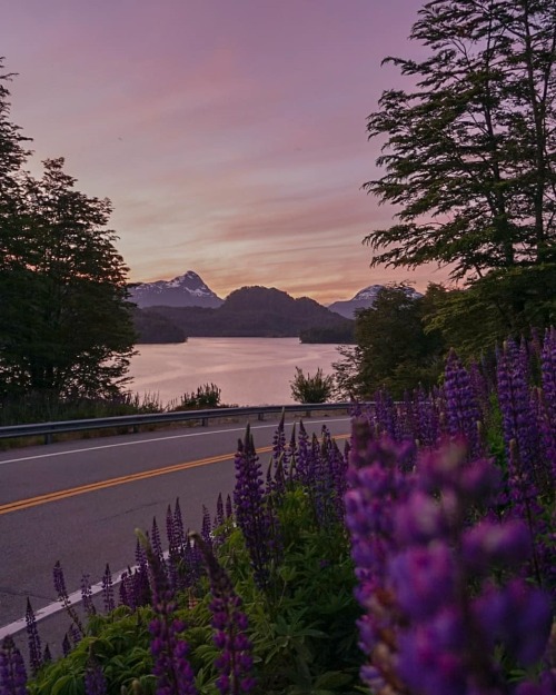 turnnoffyourmind:New dreamsRuta Los 7 Lagos, Neuquén, Patagonia Argentina.