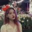 1-800-loonaverse-blog
