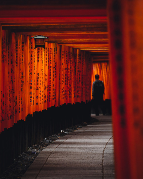 Kyoto - 1instagram : @446i