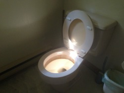 jamescannotfly:   nostopdasgay:  everets:  Every morning the light comes in and my toilet looks beautiful  holy shit  Please tell me that was an intentional pun 
