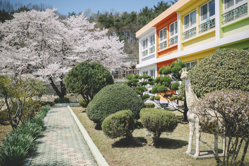 boohwanj:2019-03-31