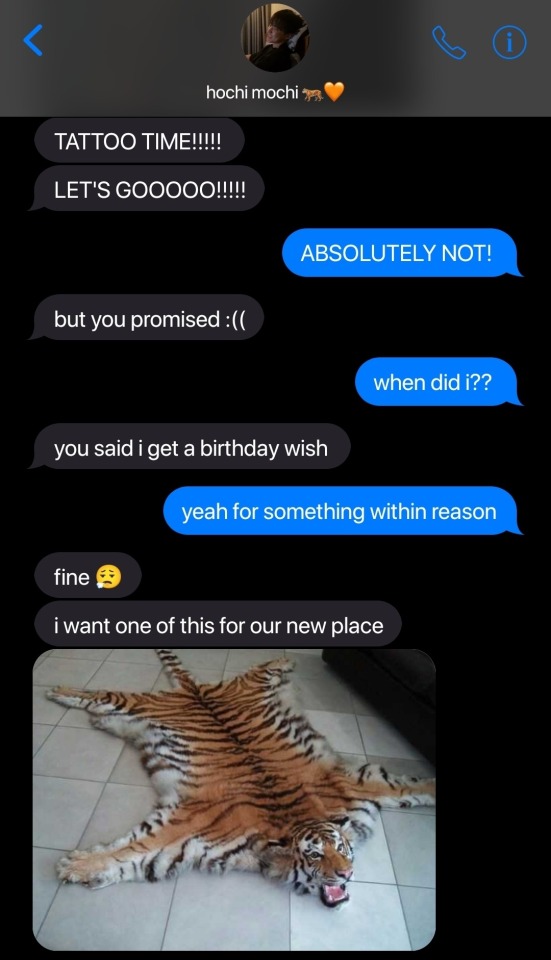 Stupid Tiger Obsession, Kwon Soonyoung.