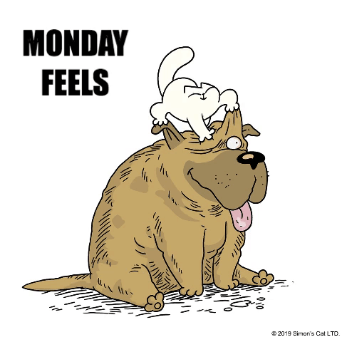The struggle!   Illustration taken from our book &lsquo;It&rsquo;s a Dog&rsquo;s Li