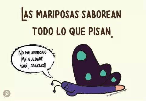 finofilipino: Nunca te acostarás sin saber una cosa más. Lo 100to por la traduxión