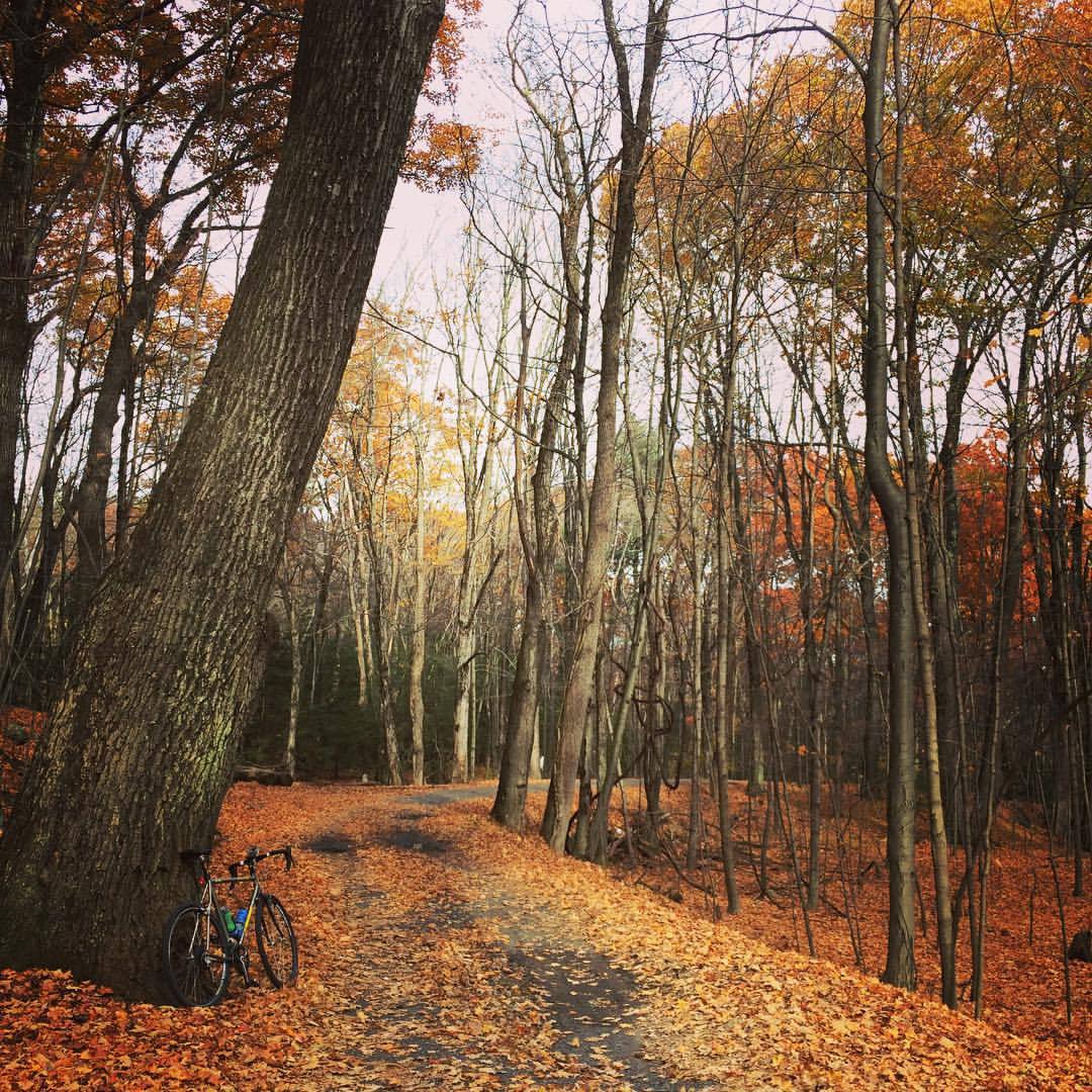 Enjoying the last of the fall colors before the leaves drop #bikes #fall #cyclocross (at Canton Land Trust)