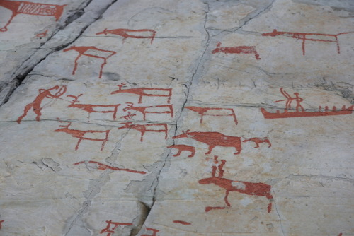 soliloquyinthedark:Ancient European Rock Art in Alta, Finnmark, NorwayMore than 6000 prehistoric roc