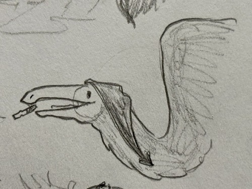 Even More... Deinocoras... 